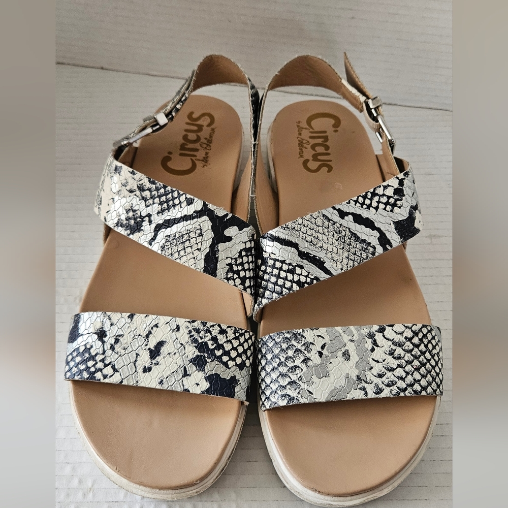 Circus by Sam Edelman Nadine snake skin pattern sandals‎ size 11